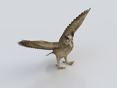 Majestic Eagle With Spread Wings Standing In Flight Pose On Light Background 3d model