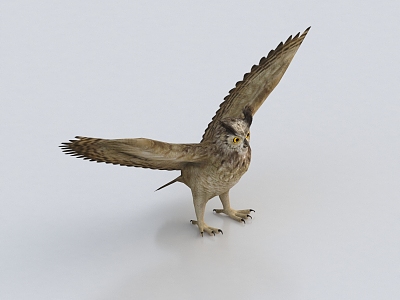 Owl Bird Flying Bird Eagle 3d model