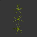 Ground with Silver Branches on Transparent Base Against Black Background