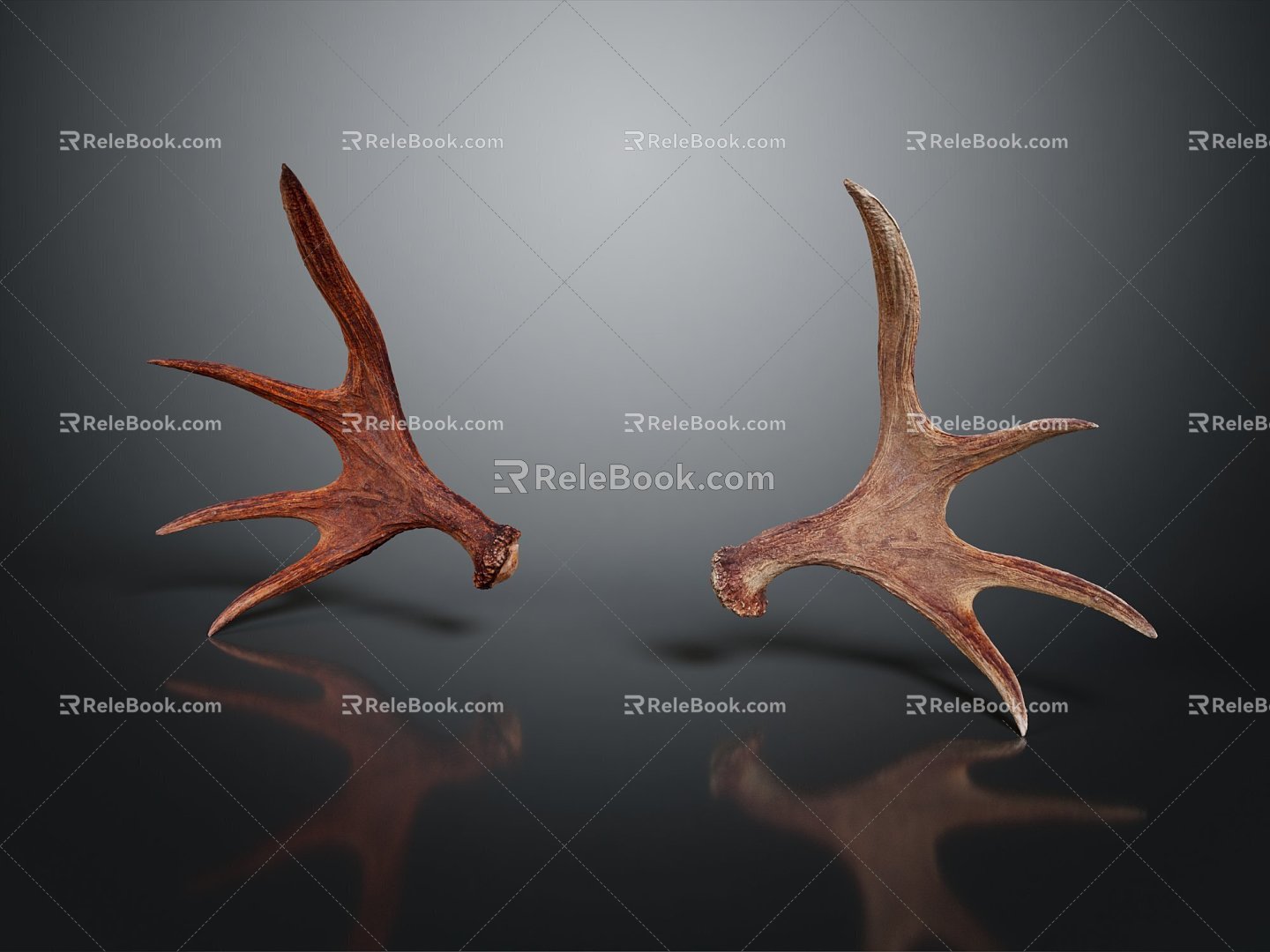 Modern antler antler head elk elk horn 3d model