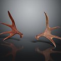 Modern antler antler head elk elk horn 3d model