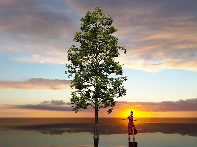 Tall Tree Against Sunset Sky With Clouds Water Reflection And Person In Red Dancing 3d model