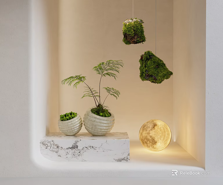 Bonsai Potted Plants With Hanging Moss Decorations On Marble Countertop And Moon Shaped Lamp 3d model 