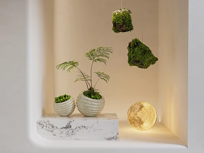 Bonsai Potted Plants With Hanging Moss Decorations On Marble Countertop And Moon Shaped Lamp 3d model
