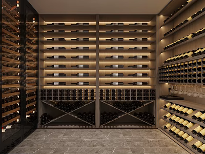 Elegant Wine Cellar Interior Design With Multi Layer Racks Illuminated Bottles And Marble Floor 3d model