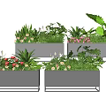 Modern Rectangular Metal Flower Planters With Various Green Plants And Flowers