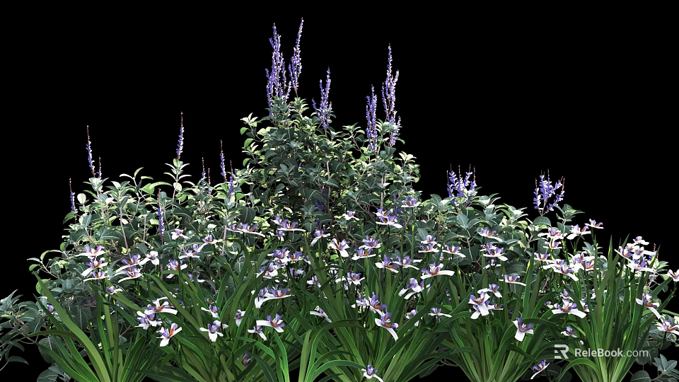 Vibrant Purple Flowers With Lush Green Foliage In Dense Garden Plant 3d model 