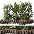 Plant Combination with Diverse Greenery and Curved Wooden Structure in Outdoor Garden Setting