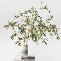 Decorative Ceramic Vase with Plant and Bowl Holding Yellow Fruits on Pedestal and Scattered Fruits