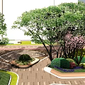 Residential Landscape With Sunlit Green Lawn Trees Bushes And Flying Birds