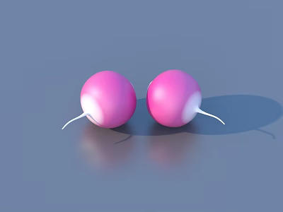 Fresh Pink Beetroot Vegetables with White Roots on Shiny Gray Surface 3d model