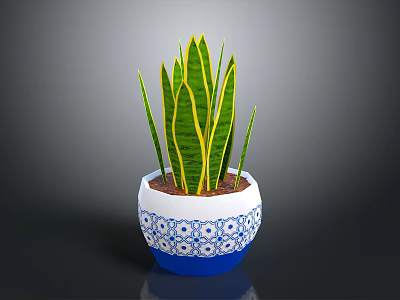Snake Plant in Blue and White Patterned Pot With Green Leaves And Yellow Stripes 3d model