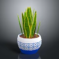 Snake Plant in Blue and White Patterned Pot With Green Leaves And Yellow Stripes