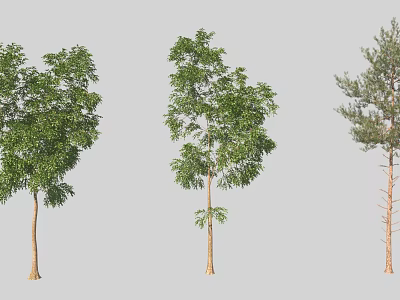 Modern Trees Small Trees 3d model Modern Trees Small Trees 3d model