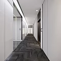 Modern Office Hallway Interior With White Walls Dark Carpet And Glass Partitions