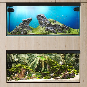 Embedded fish tank aquarium landscaping 3d model