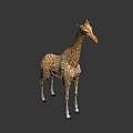 Realistic 3D Giraffe Model With Brown White Spots Standing On Grey Background 3d model