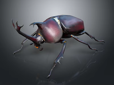 Rhinoceros Beetle With Large Horns And Shiny Dark Exoskeleton On Black Background 3d model