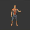 Detailed Spider Man Action Figure With Red And Blue Costume In Standing Pose