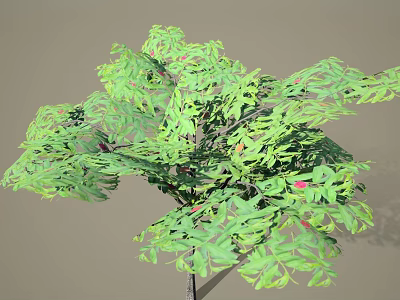 Lush Arbor With Green Leaves And Red Fruits Displaying Vibrant Natural Foliage 3d model