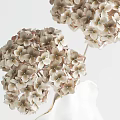 Ornamental Decor Set For Home Interior With White Gold Rim Vases And Beige Flowers