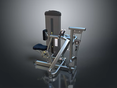 Strength Training Fitness Machine With Seated Position And Metal Frame Design 3d model