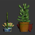 Decorative Potted Cactus Plants in Various Colored and Shaped Pots on Dark Background
