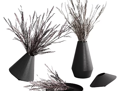 Stylish Black Vases With Dried Plants For Modern Home Decoration 3d model