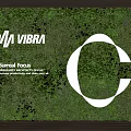 Living Plant Wall Featuring VIBRA Surreal Focus And White Circular Design In Interior