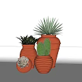 Stylish Garden Ornaments With Orange Striped Pots Various Shapes And Succulents