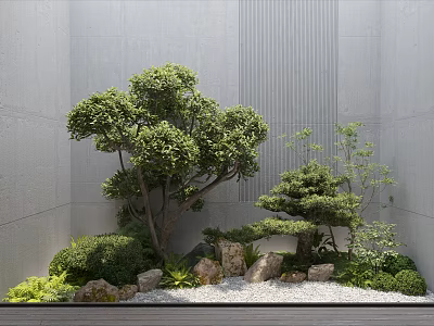 Serene Courtyard Garden With Gray Walls Large Tree Bonsai Shrubs And Gravel Ground 3d model
