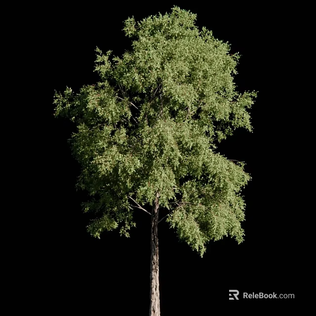 Lush Green Arbor With Dense Foliage And Brown Trunk Isolated On Black 3d model 