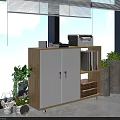Modern Entryway Side Cabinet With White Doors Drawers Shelves Folders And Green Plants By Window