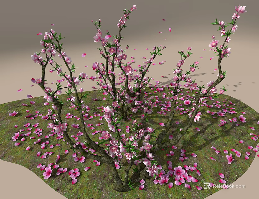 Tree Pit With Blooming Pink Flower Tree And Scattered Petals On Green Grass Ground 3d model 