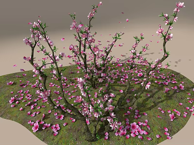 Tree Pit With Blooming Pink Flower Tree And Scattered Petals On Green Grass Ground 3d model
