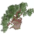 Ancient Arbor With Thick Twisted Trunk Exposed Roots And Lush Green Leaves On Rocky Base