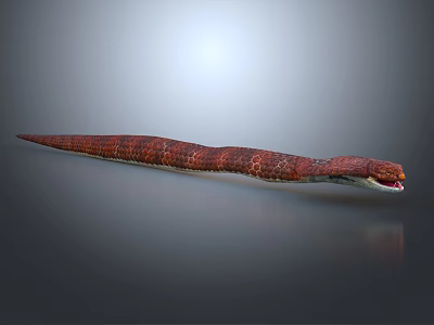 Red Snake With Long Slender Body Open Mouth On Gray Background With Reflection 3d model