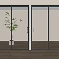 Modern Sliding Doors With Transparent And Ribbed Glass In Interior Green Plant And Wood Floor
