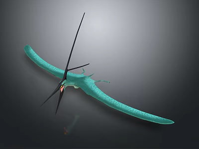 Turquoise Pterosaur With Large Membranous Wings Slender Body And Long Sharp Beak 3d model