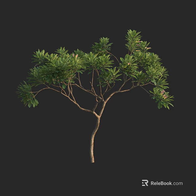 Lush Arbor With Dense Green Foliage And Strong Branch Structure 3d model 