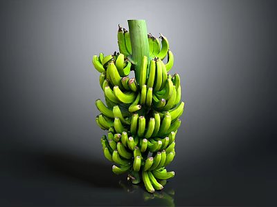 Fresh Green Banana Bunch with Stem Placed on Dark Background Surface 3d model