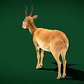 Saiga Antelope Standing On Green Background With Brown Coat Long Nose And Curved Horns