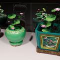 Decorative Aquarium Fish Tanks Featuring Green Bodies and Lotus Water Lilies