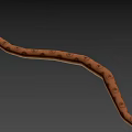 Brown Patterned Snake With Slithering Curved Body Against Dark Background