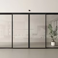 Modern Glass Sliding Doors With Black Frames And Indoor Plant In Living Room