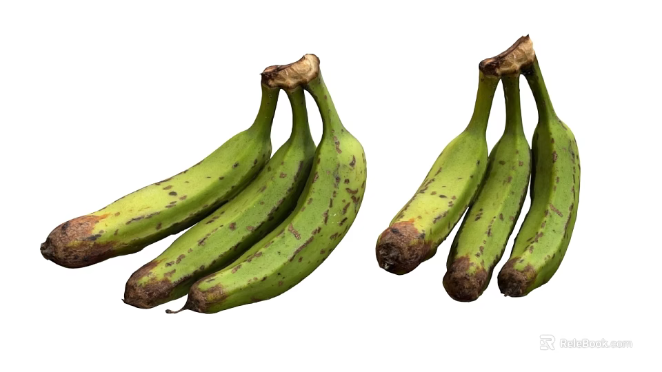 Green Bananas With Brown Spots In Two Bunches On White Background 3d model 