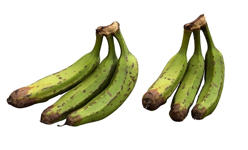 Modern Green Banana 3d model