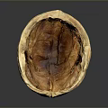 Close Up Open Walnut Showing Exposed Kernel And Natural Shell Texture 3d model