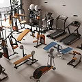 Comprehensive Fitness Equipment Set with Treadmills Dumbbells Exercise Benches and Bikes