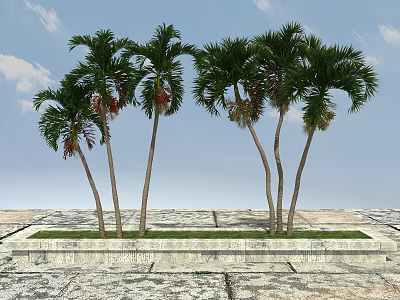 Palm Trees Growing in Stone Planter with Blue Sky and Clouds on Stone Paved Ground 3d model